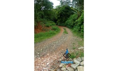 Se Vende Terreno 11 Has. en Cerro Azul  USD$324,500,oo