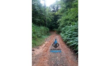 Se Vende Terreno 11 Has. en Cerro Azul  USD$324,500,oo