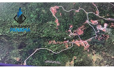 Se Vende Terreno 11 Has. en Cerro Azul  USD$324,500,oo