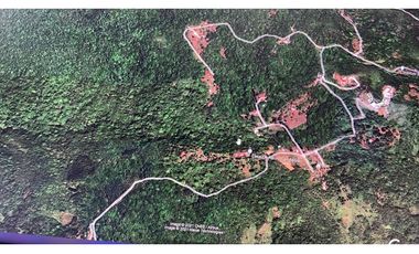 Se Vende Terreno 11 Has. en Cerro Azul  USD$324,500,oo