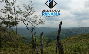 Se Vende Terreno 11 Has. en Cerro Azul  USD$324,500,oo