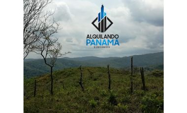 Se Vende Terreno 11 Has. en Cerro Azul  USD$324,500,oo