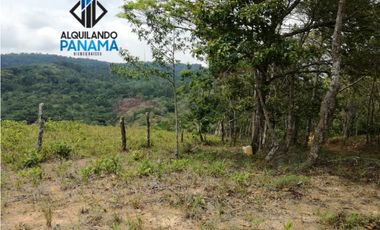 Se Vende Terreno 11 Has. en Cerro Azul  USD$324,500,oo