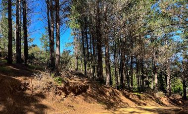 Sitio en Venta en Loteo Fundo Boyeruca, Boyeruca