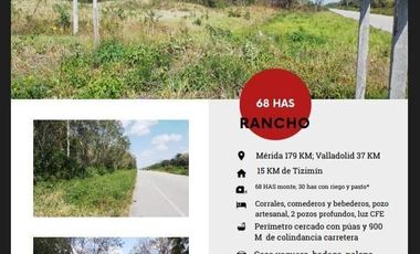 Se vende excelente rancho a orilla de carretera Tizimín- Valladolid