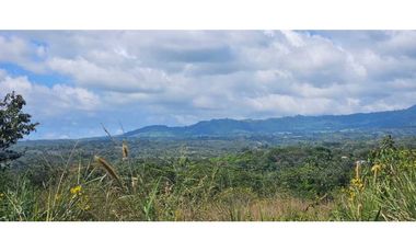 VENDO LOTE COMERCIAL EN BQOUETE