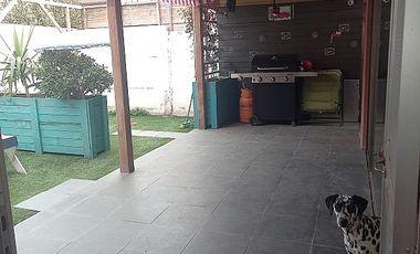 BUIN- TULIPEROS