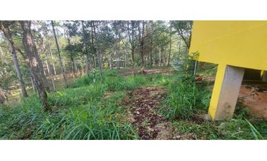 TERRENO CON CASA EN ALTOS DE CERRO AZUL 1323 m2