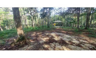 TERRENO CON CASA EN ALTOS DE CERRO AZUL 1323 m2