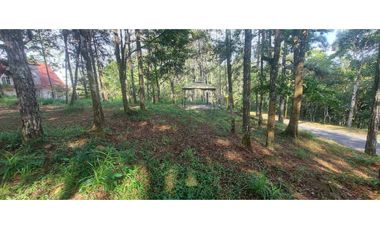 TERRENO CON CASA EN ALTOS DE CERRO AZUL 1323 m2