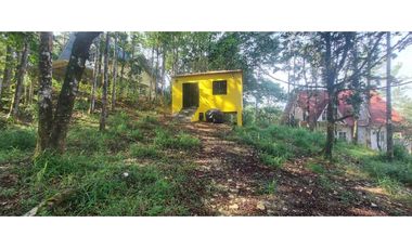 TERRENO CON CASA EN ALTOS DE CERRO AZUL 1323 m2