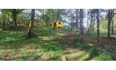 TERRENO CON CASA EN ALTOS DE CERRO AZUL 1323 m2