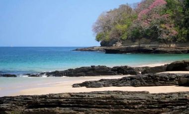 VENTA DE PARADISACA PROPIEDAD EN ISLA SABOGA