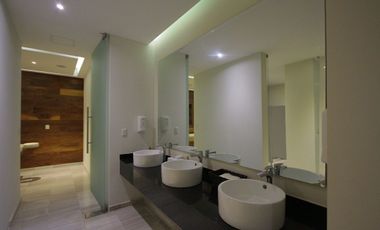 oficinas de lujo en renta zona diamante andares