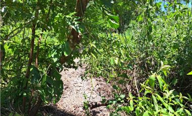 VENDO LOTE DE 1877M2 VIA PRINCIPAL A BOQUETE
