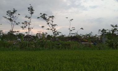 RUMAH MURAH DI KAWASAN RAMAI SLEMAN, DENGAN KOLAM RENANG PRIBADI