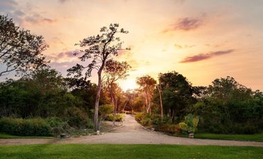 Terreno en venta entrega inmediata en Cabo Norte, Mérida