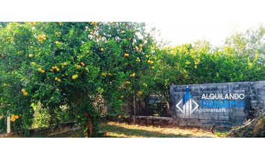 Se alquila acogedora casa en David, residencial céntrico y tranquilo