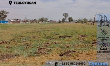 Buy land in Teoloyucan