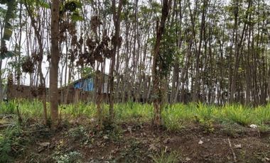 Jual Tanah SHM Sangat Luas di Tegal Mapan Malang