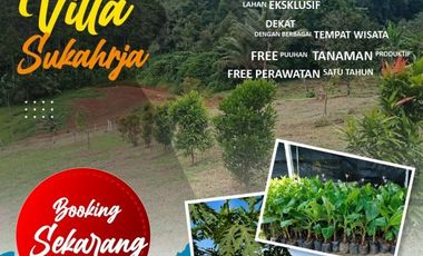 Kavling Kebun Produktif Luas 500 Meter Murah | Pesona Villa Sukaharja Bogor