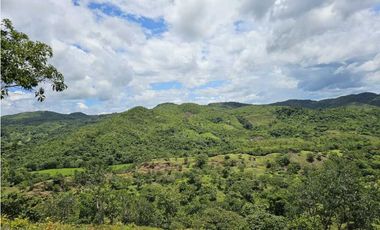 Se Vende Finca de 79 Hectáreas en Veraguas
