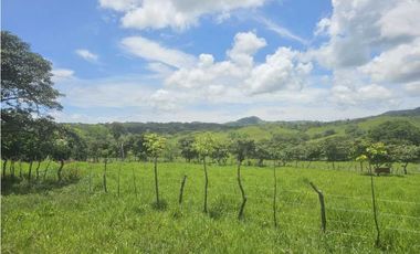 Se Vende Finca de 79 Hectáreas en Veraguas