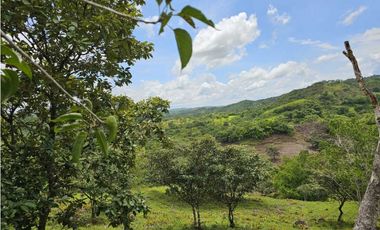Se Vende Finca de 79 Hectáreas en Veraguas