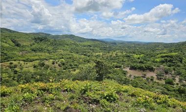 Se Vende Finca de 79 Hectáreas en Veraguas