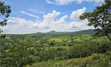 Se Vende Finca de 79 Hectáreas en Veraguas