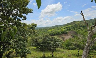 Se Vende Finca de 79 Hectáreas en Veraguas