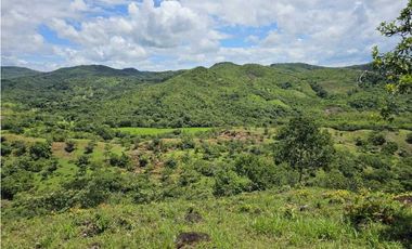 Se Vende Finca de 79 Hectáreas en Veraguas