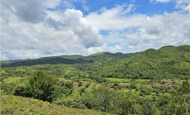 Se Vende Finca de 79 Hectáreas en Veraguas
