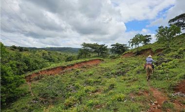 Se Vende Finca de 79 Hectáreas en Veraguas