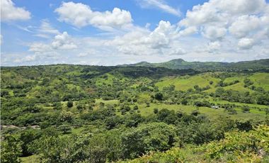Se Vende Finca de 79 Hectáreas en Veraguas