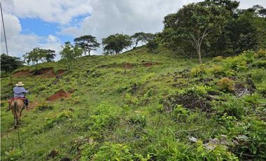 Se Vende Finca de 79 Hectáreas en Veraguas