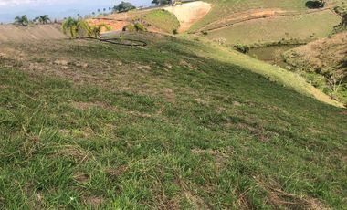 LOTE EN VENTA CERRITOS PEREIRA