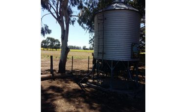 VENDO O PERMUTO 40 HECTAREAS DE CAMPO UNICAS EN BALCARCE