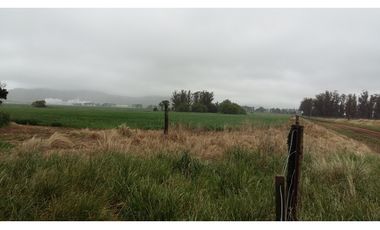 VENDO O PERMUTO 40 HECTAREAS DE CAMPO UNICAS EN BALCARCE