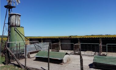 VENDO O PERMUTO 40 HECTAREAS DE CAMPO UNICAS EN BALCARCE