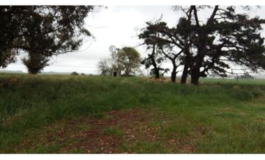 VENDO O PERMUTO 40 HECTAREAS DE CAMPO UNICAS EN BALCARCE