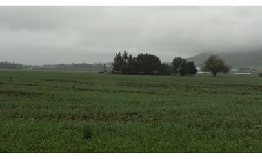 VENDO O PERMUTO 40 HECTAREAS DE CAMPO UNICAS EN BALCARCE
