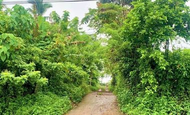 For Sale: Agricultural Lot in Cavite
