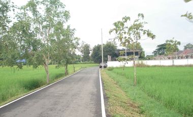 Land for sale in San Na Meng, Chiang Mai