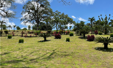 TERRENO EN VENTA - 1500 M2 - CABAÑA RUSTICA – PEDRO V. MALDONADO (SZ)