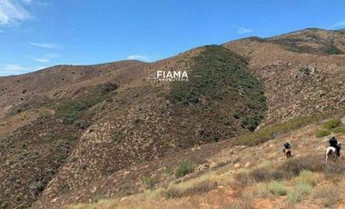 VENDO HECTAREAS EN TECATE, B.C., MÉXICO.