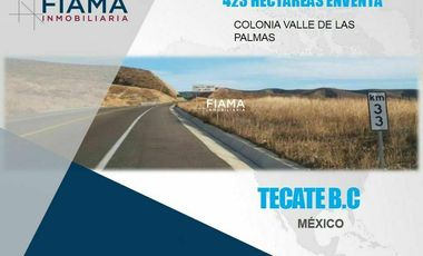 VENDO HECTAREAS EN TECATE, B.C., MÉXICO.