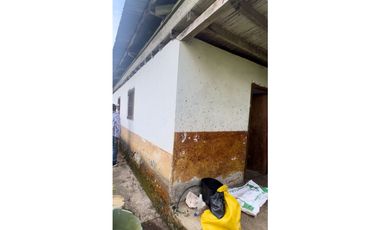 VENTA FINCA CASTILLA PCORA 32 HECTREAS | FINCA PRODUCTIVA EN VENTA