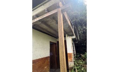 VENTA FINCA CASTILLA PCORA 32 HECTREAS | FINCA PRODUCTIVA EN VENTA