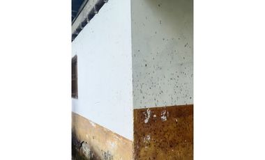 VENTA FINCA CASTILLA PCORA 32 HECTREAS | FINCA PRODUCTIVA EN VENTA